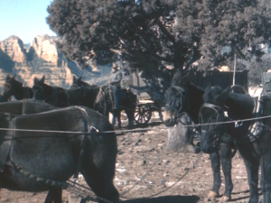 Скачать фильм Альбукерк / Albuquerque (1948) DVDRip 