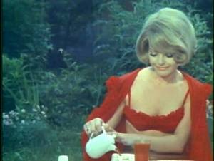 Die Jungfrauen von Bumshausen (1970) DVDRip