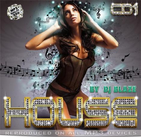 House By Dj Blaze(February Edition)2010