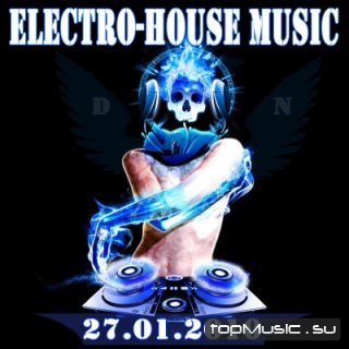 Electro-House Music (27.01.2010)